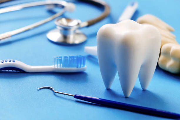 Professional Dental Services in Claiborne, LA